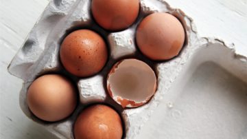 Essentielle und Nicht-Essentielle Aminosäuren: Eine andere Sichtweise – Teil 1
