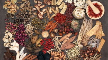 Adaptogene zur Stressbewältigung