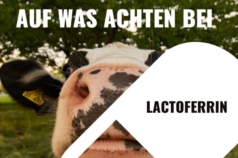 Lactoferrin als Nahrungsergänzung