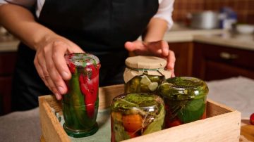 Fermentation und Darmgesundheit