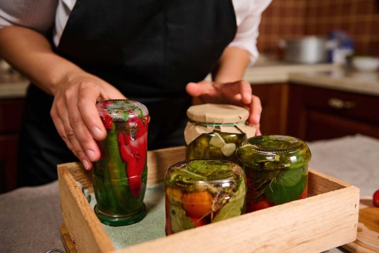 Fermentation und Darmgesundheit