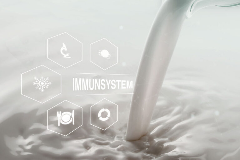 Lactoferrin und das Immunsystem