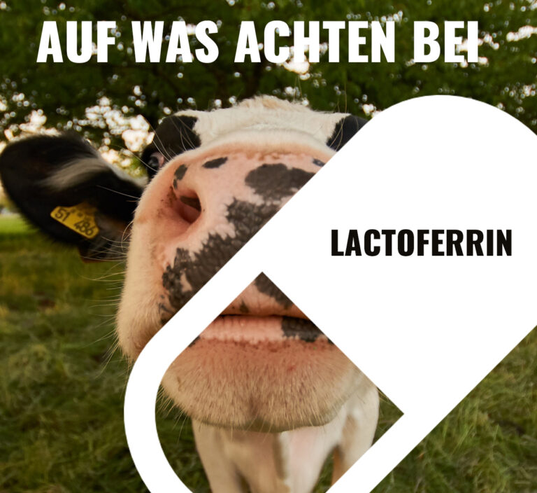 Lactoferrin kaufen